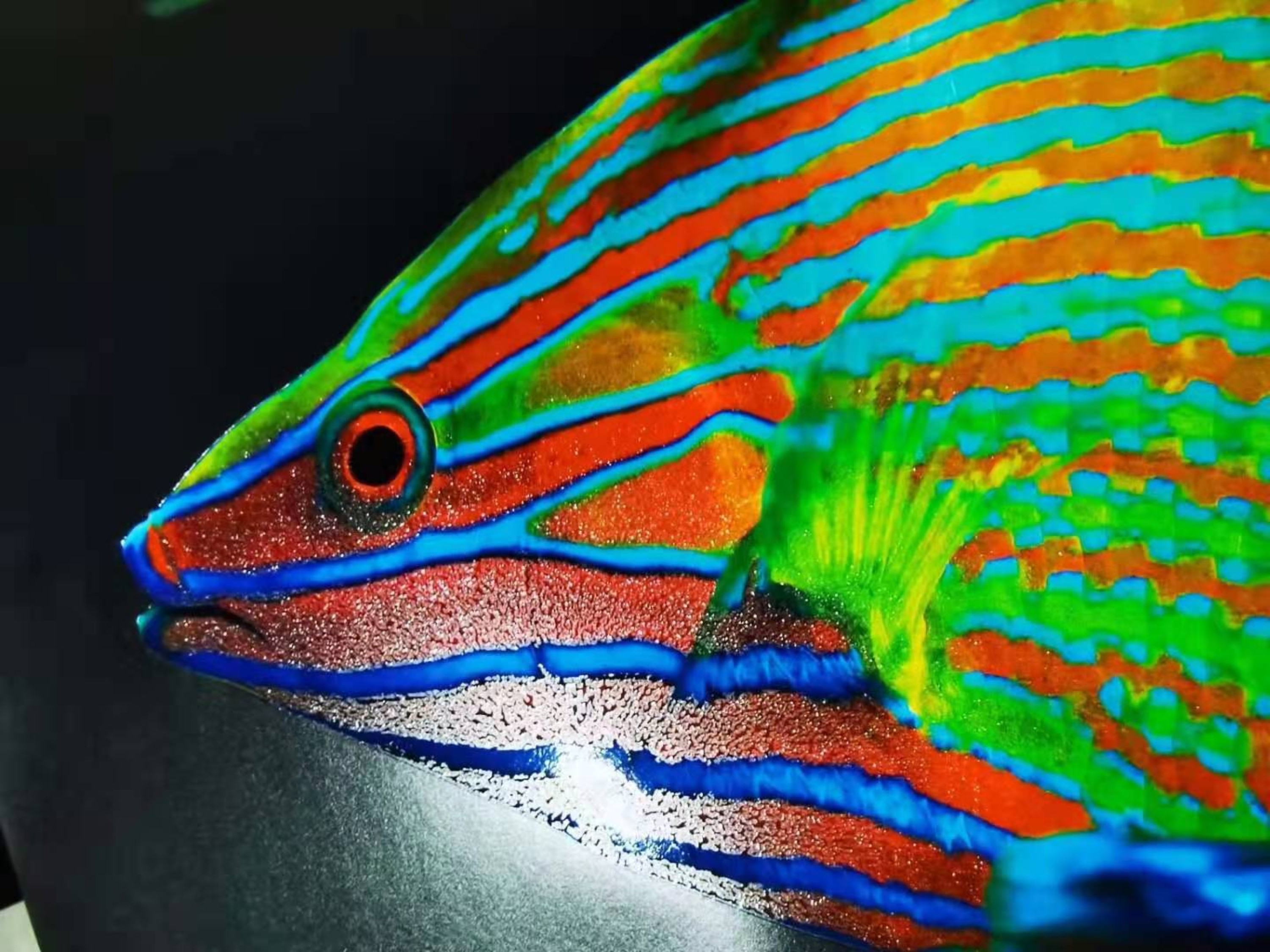 包裝定制廠家報價差距較大 包裝定制廠家報價差距較大